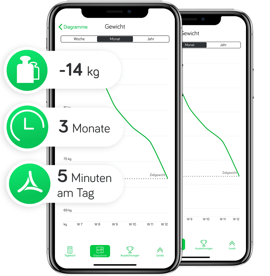 Arise App Diagramme zum Gewichtsverlust