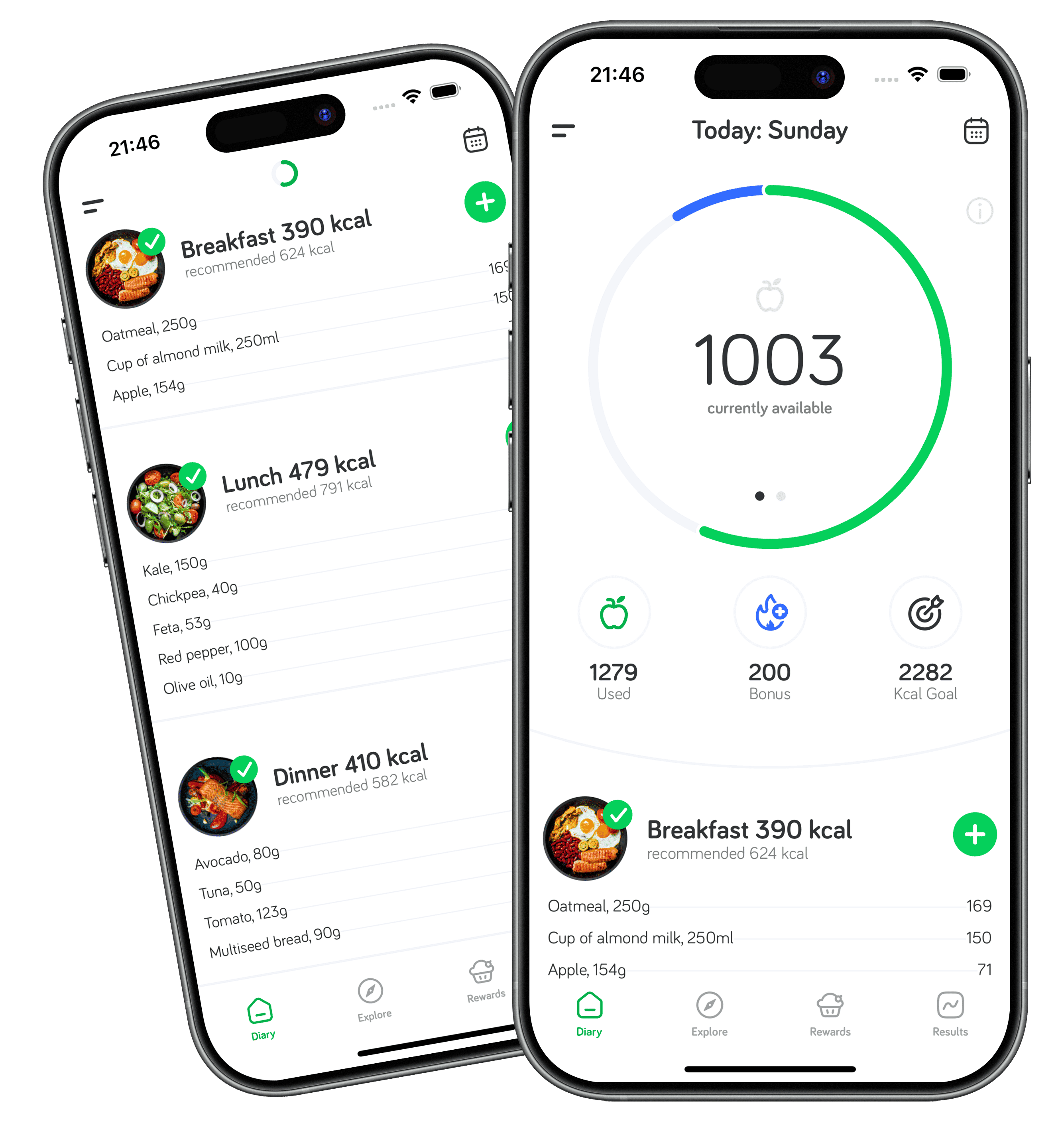 Arise App Calorie Counter Dashboard