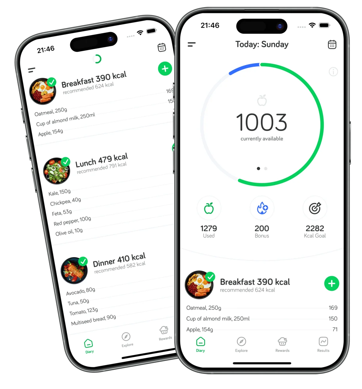 Arise App Calorie Counter Dashboard