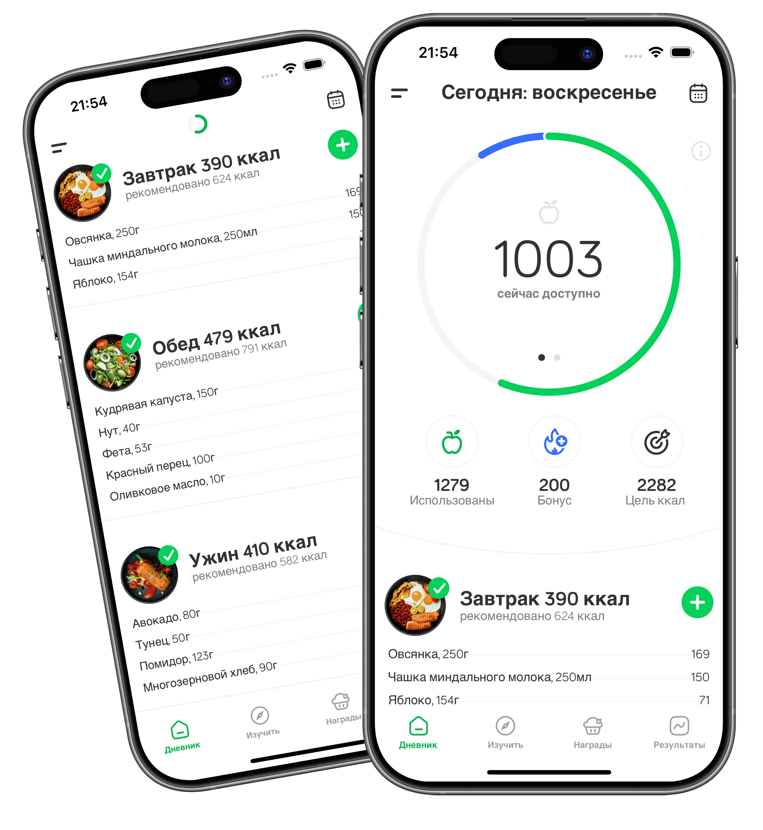 Arise App Calorie Counter Dashboard