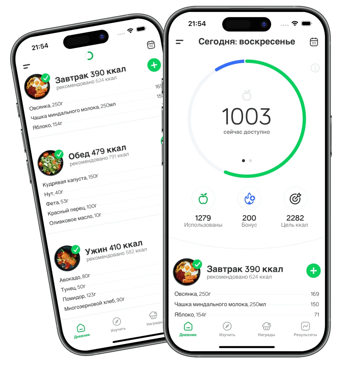 Arise App Calorie Counter Dashboard